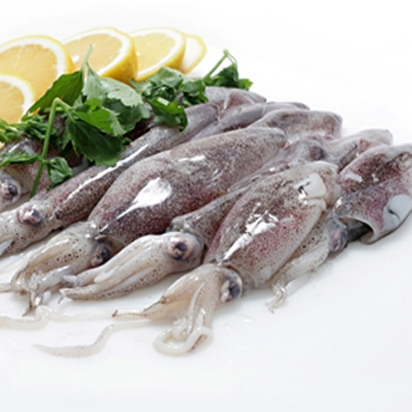 Calamari Patagonia C4L al KG