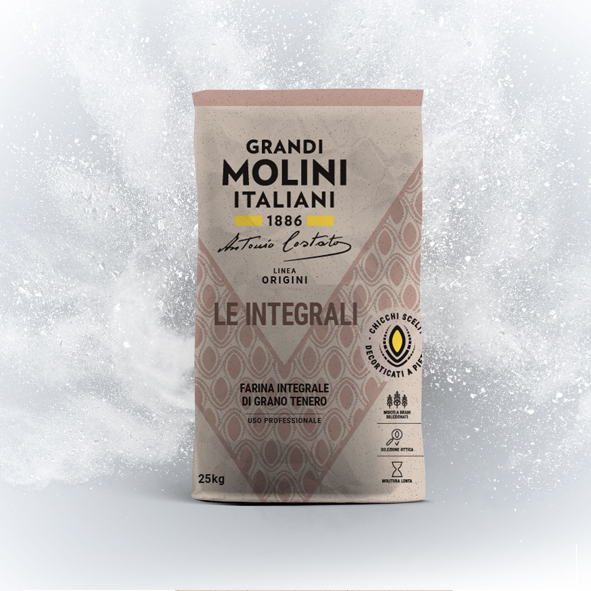Farina Integrale Forte 25kg