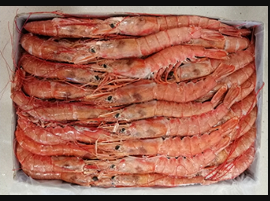 Gamberi Argentina L3 30/40 C. Bordo 2kg