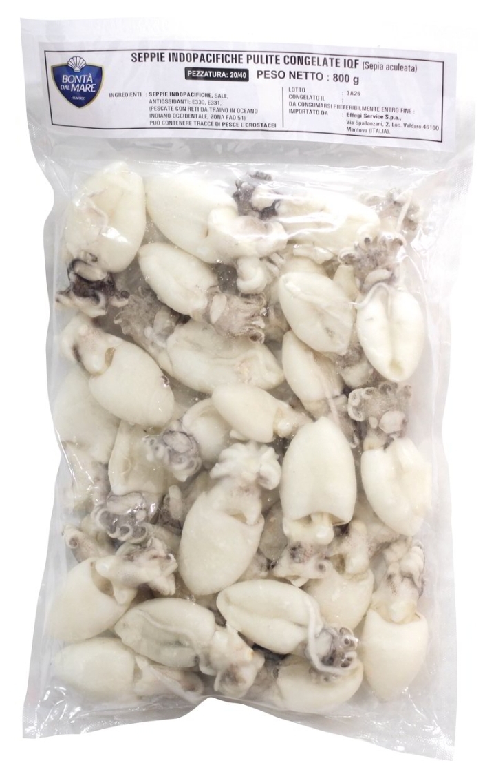 Seppioline Pulite 20/40 1cf 800gr