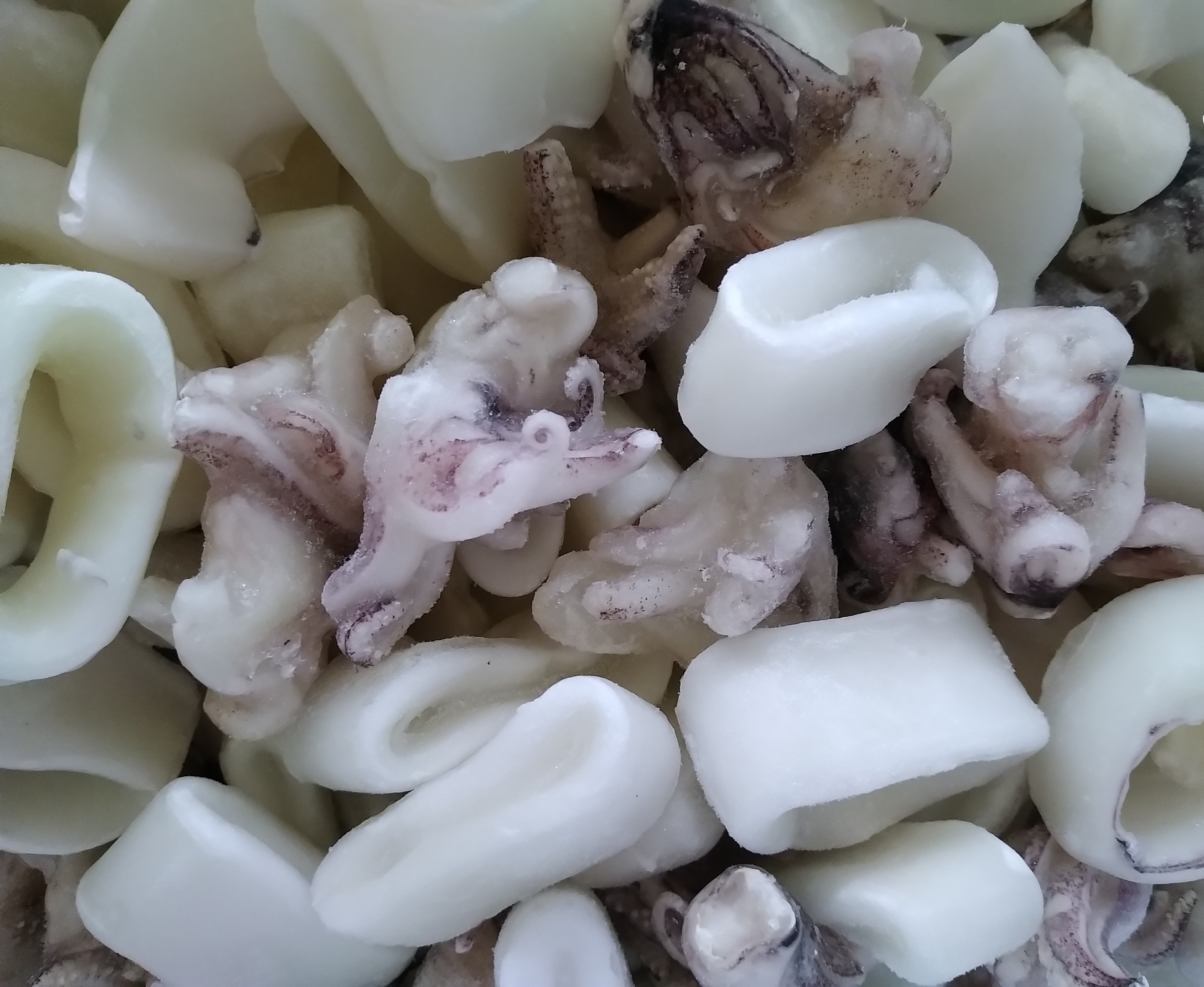 Calamari Pat. Anelli/Ciuffi 900gr 1CT7CF