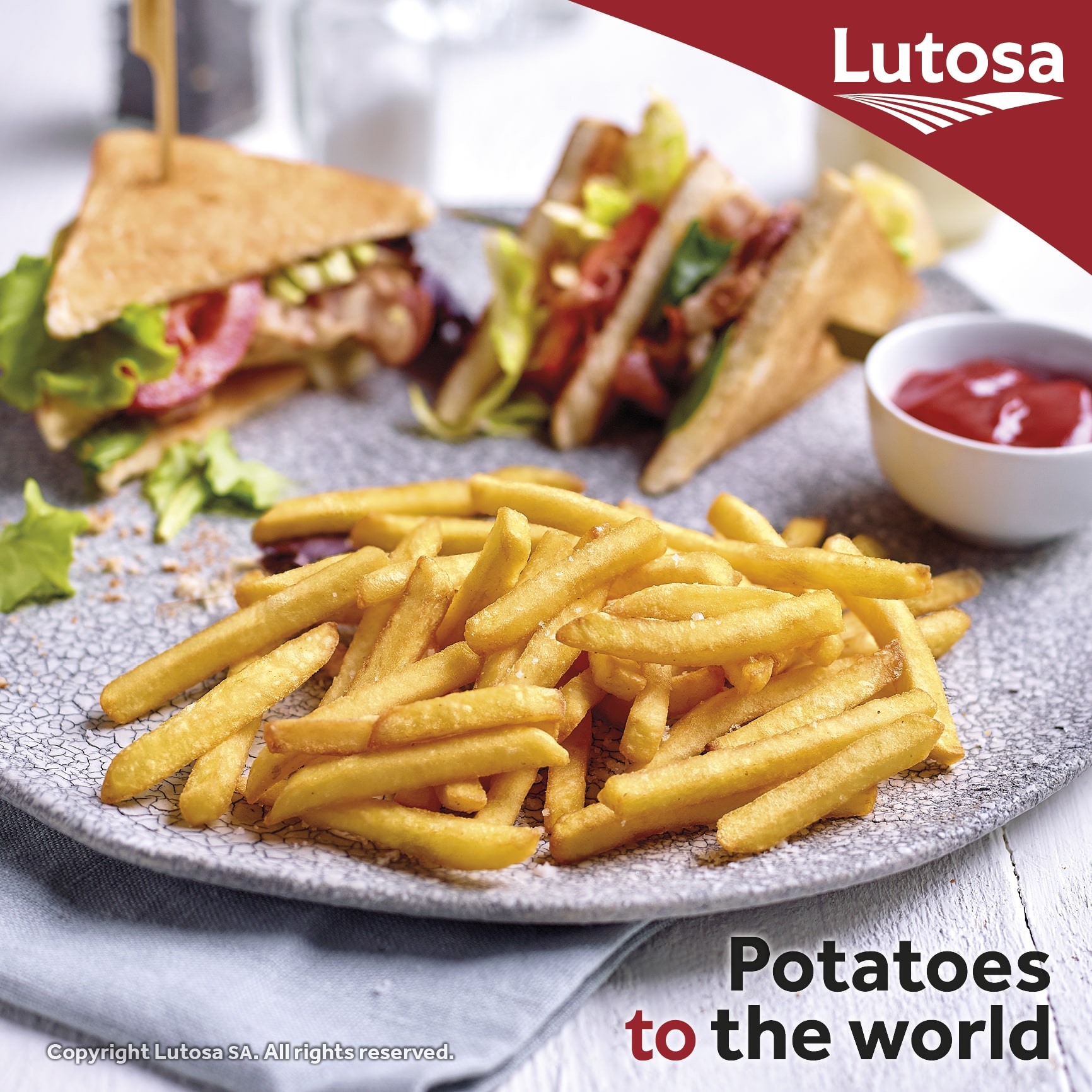 Patate Julienne 7mm 2.5kg