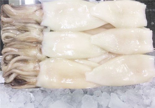 Calamari Pul C4 Patag Lanzal 900gr